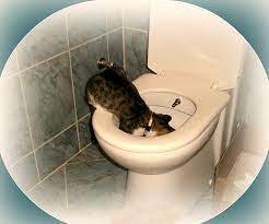 FUNNY!!!!!!!!!!!!!!!!!!!!!!!!