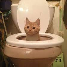 FUNNY!!!!!!!!!!!!!!!!!!!!!!!!