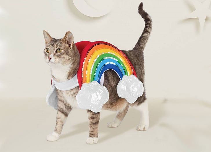 A cat's wish list image