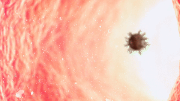 ANAIS - Isolate Violence