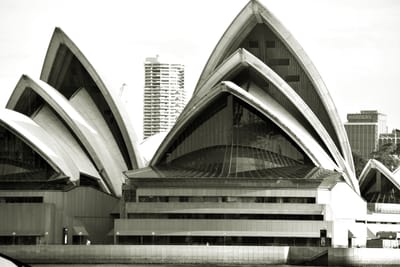 Artist of Mosman 2088