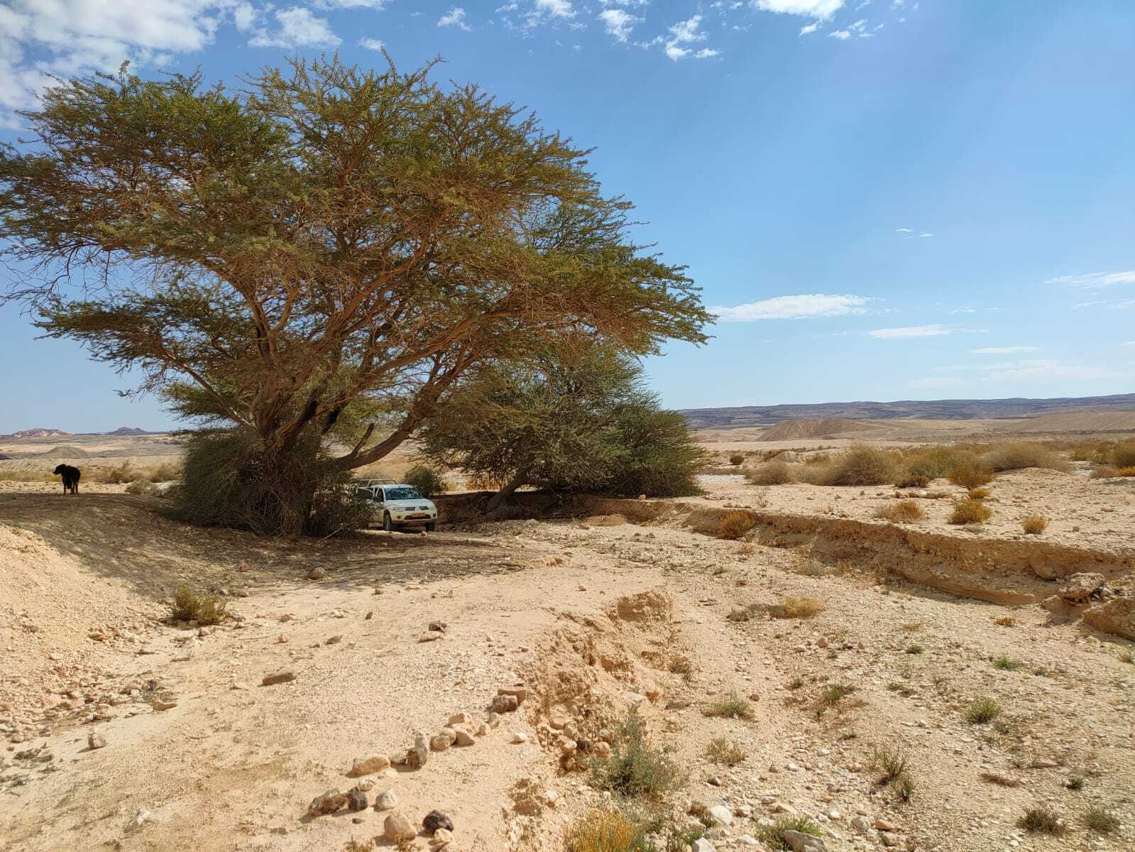 שמורת עין יהב