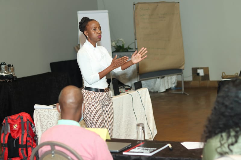 DFFE-GIZ   MITIGATION, MONITORING AND EVALUATION   STRATEGY AND TEAM BUILDING WORKSHOP    CSP4 AND DFFE COOPERATIVE PROJECT FOR 2022/2023