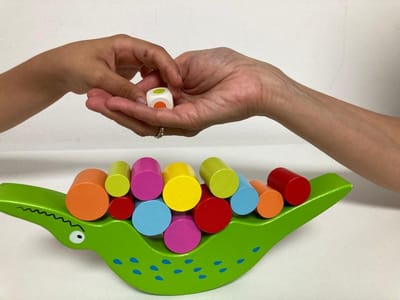 אודות הפעילות image