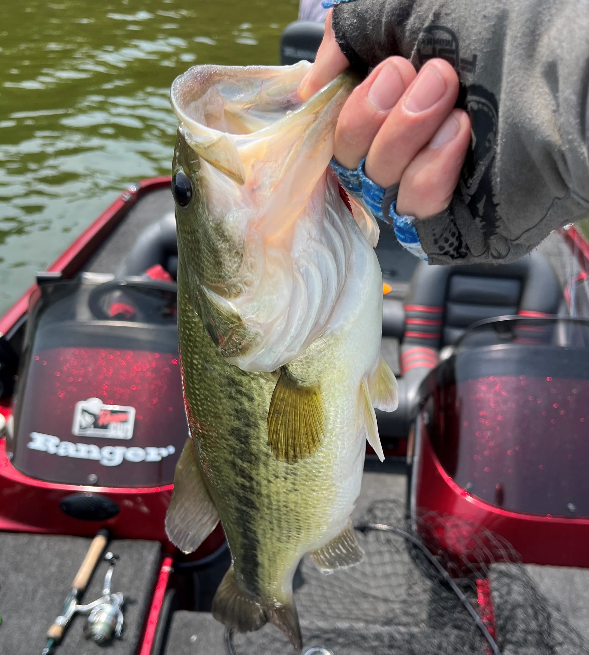 Largemouth at Deep creek