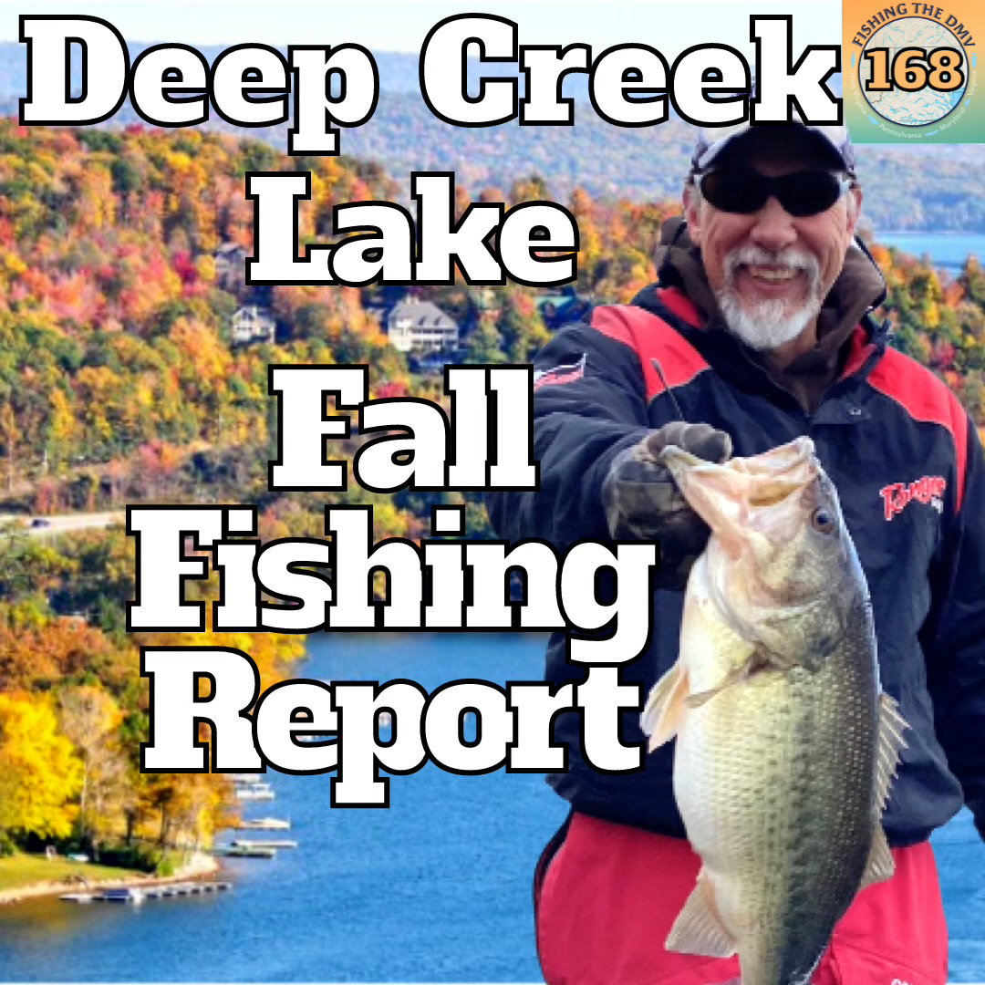Interview on Fishing the DMV