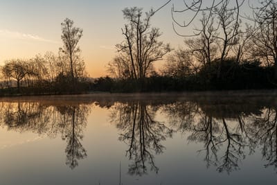 Death is a time for solidarity