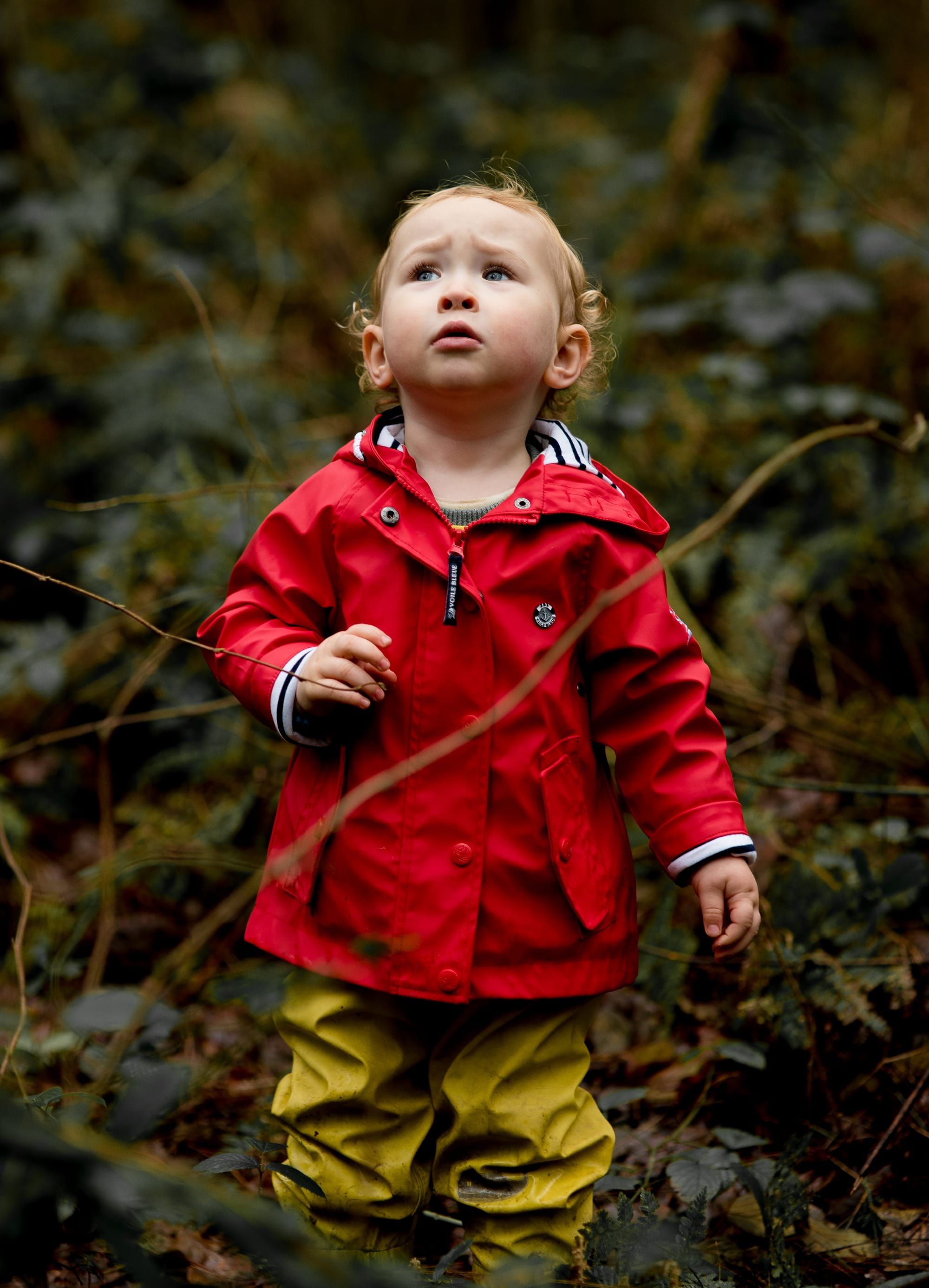 Children and Family Photo shoots