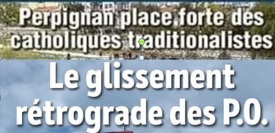 4 ans d'Aliot à Perpignan et construction de réseaux d'extrême droite