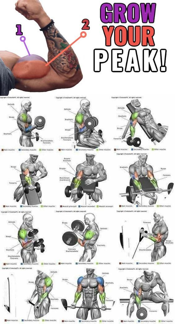 ARMS