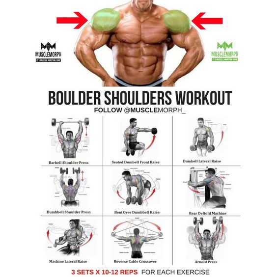 Shoulders
