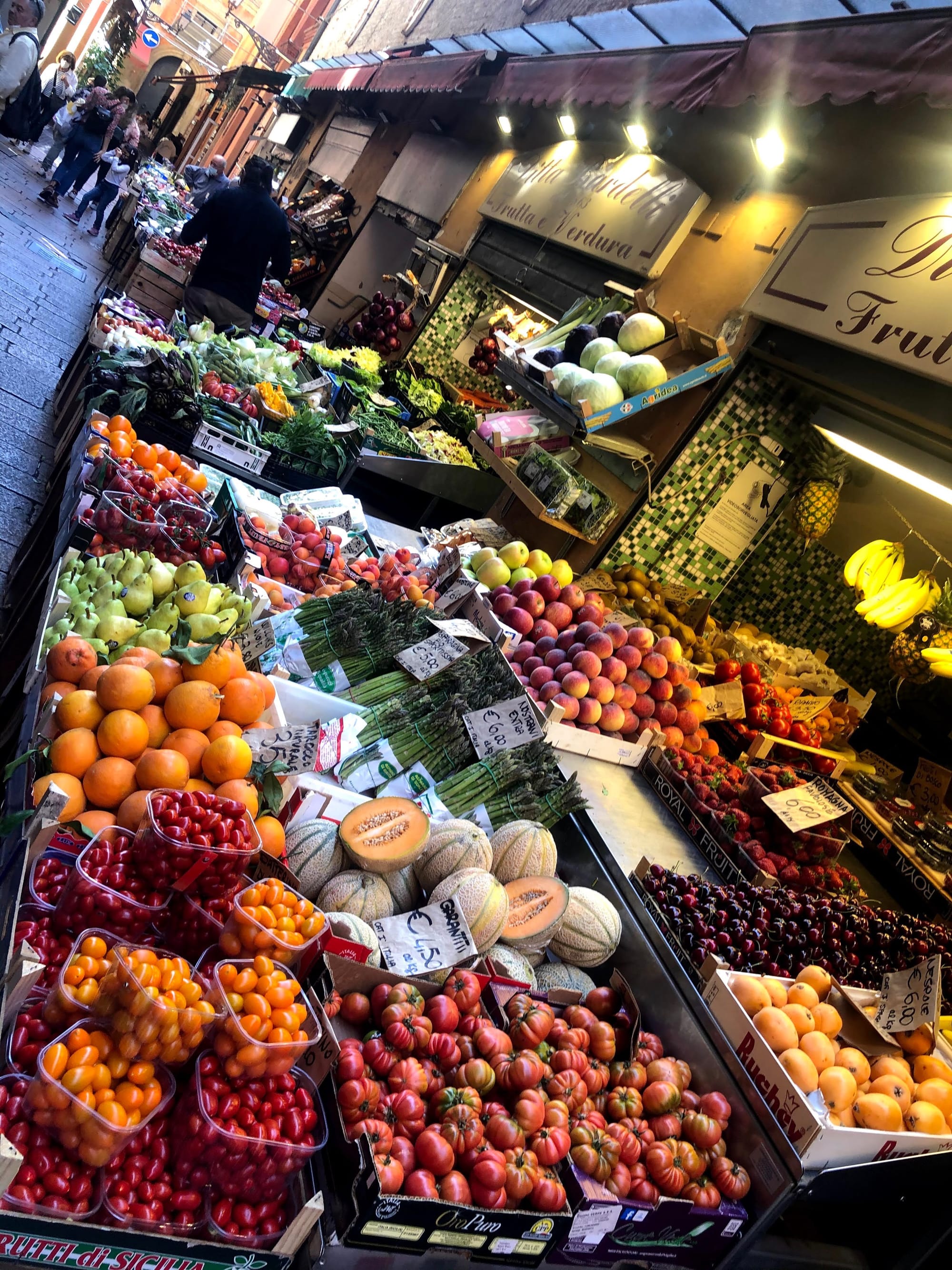 Bologna