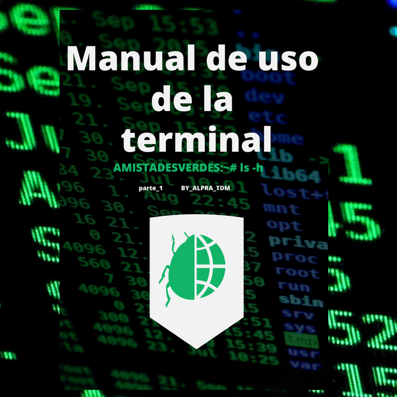 Manual de uso de la terminal desde cero