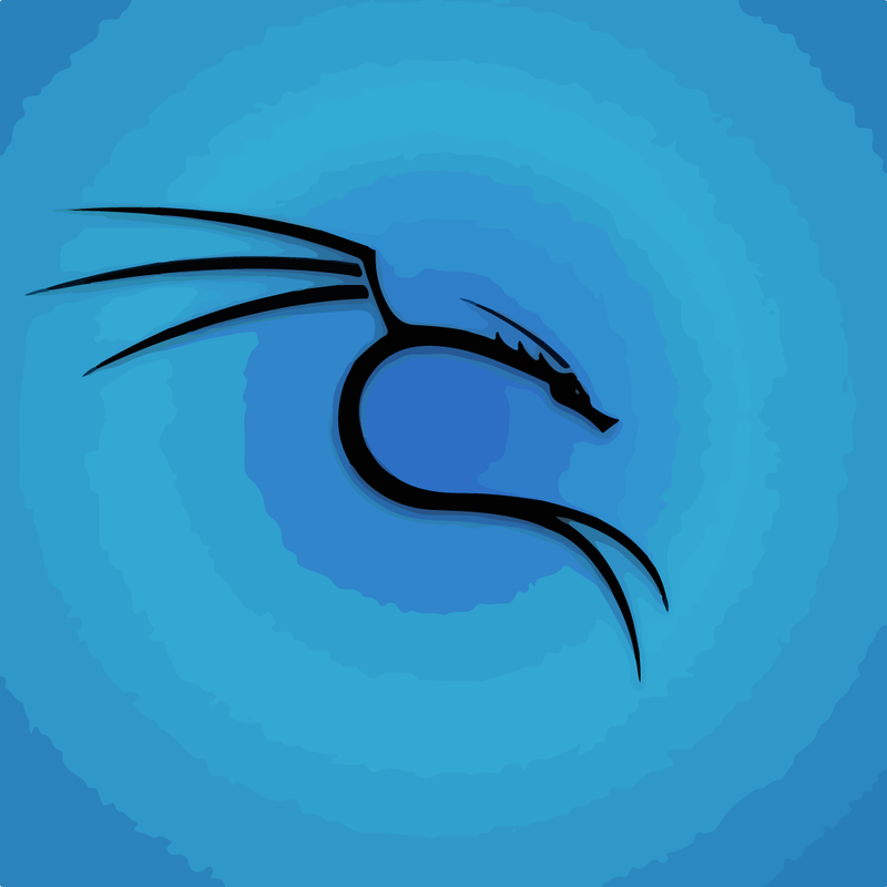 ¿Instalar Kali Linux o no?