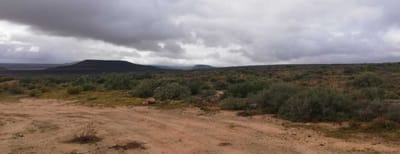 About RALPH &amp; THE JOURNEY image