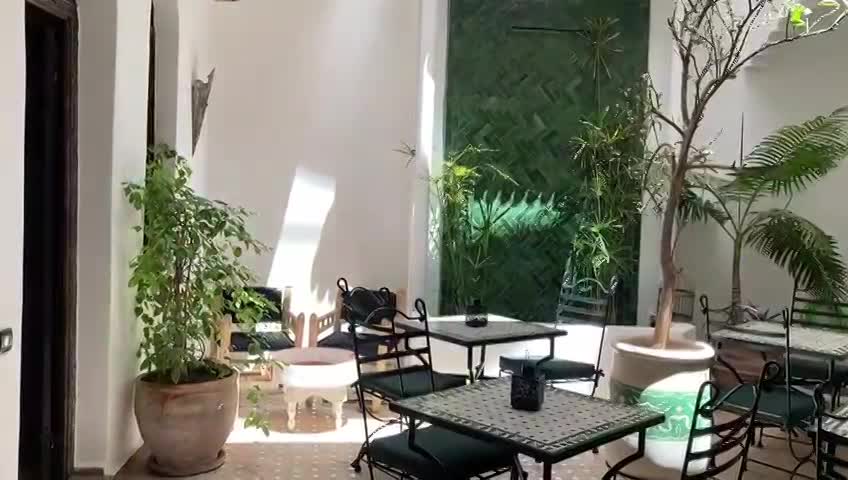 Arrivée de l'oranger , Mai 2022