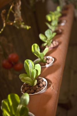 סדנאות חוגים והרצאות