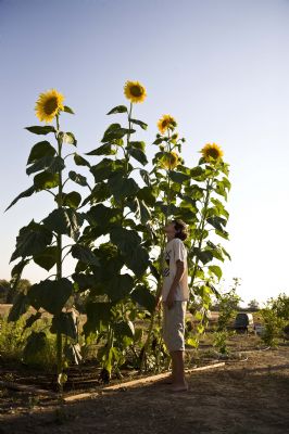 סדנאות חוגים והרצאות