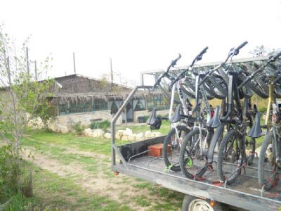 אטרקציות ופעילויות