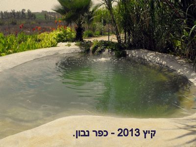 אטרקציות ופעילויות