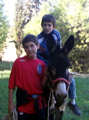 אטרקציות ופעילויות