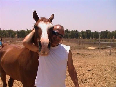 אטרקציות ופעילויות