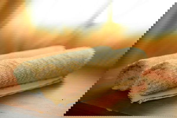 ביקתת הגפן 