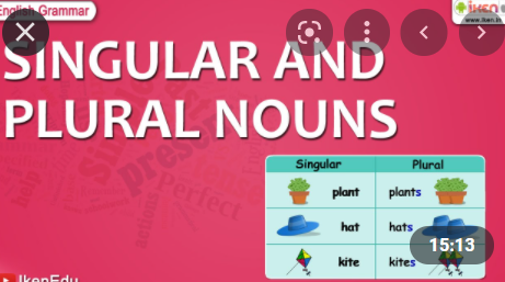 SINGULAR AND PLURAL NOUNS