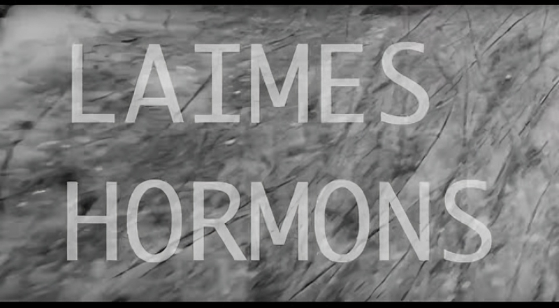 Ģitārists Juris Peterlevics izdod solo singlu “Laimes hormons”