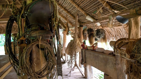 Visita la Caballeriza del Llanero, Ruta Patrimonial  y Paseo Náutico en Maní