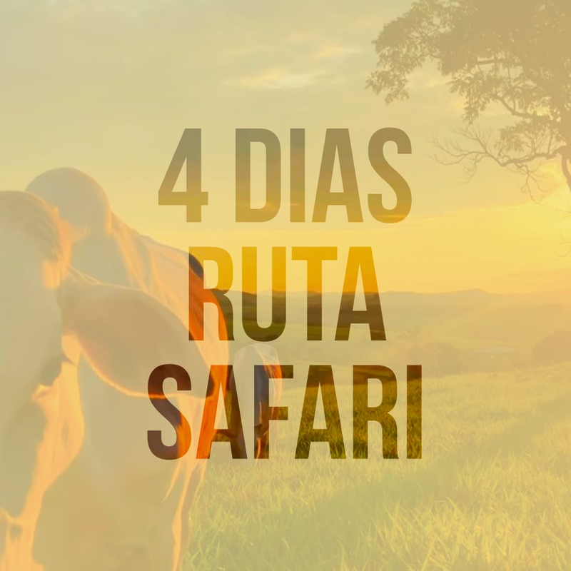 Ruta Safari Septiembre