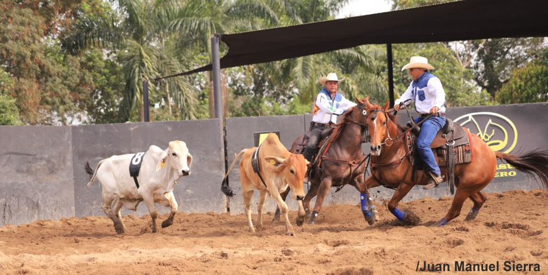 Pasadía Aparte y Encierro de Ganado