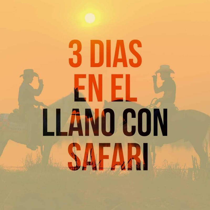 Plan 3 días en el Llano con Safari