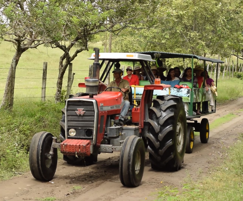 Pasadía Safari Llanero En Tractor 🚜