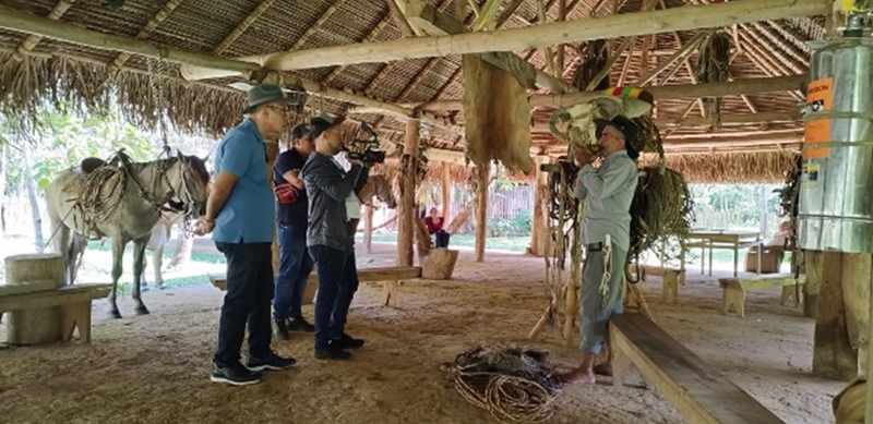 Pasadía Un día de Experiencia y Costumbres Llaneras