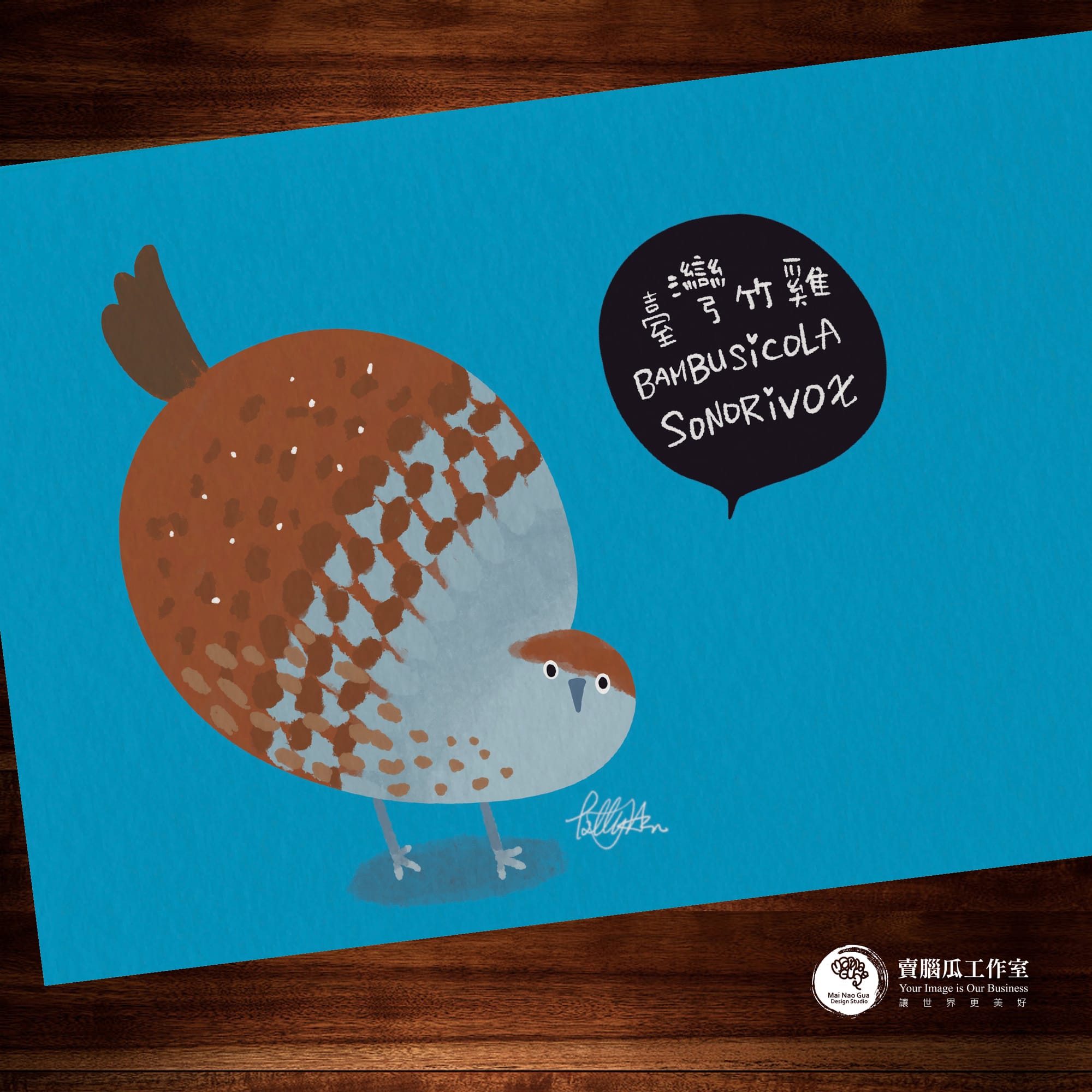 台灣特有種鳥類