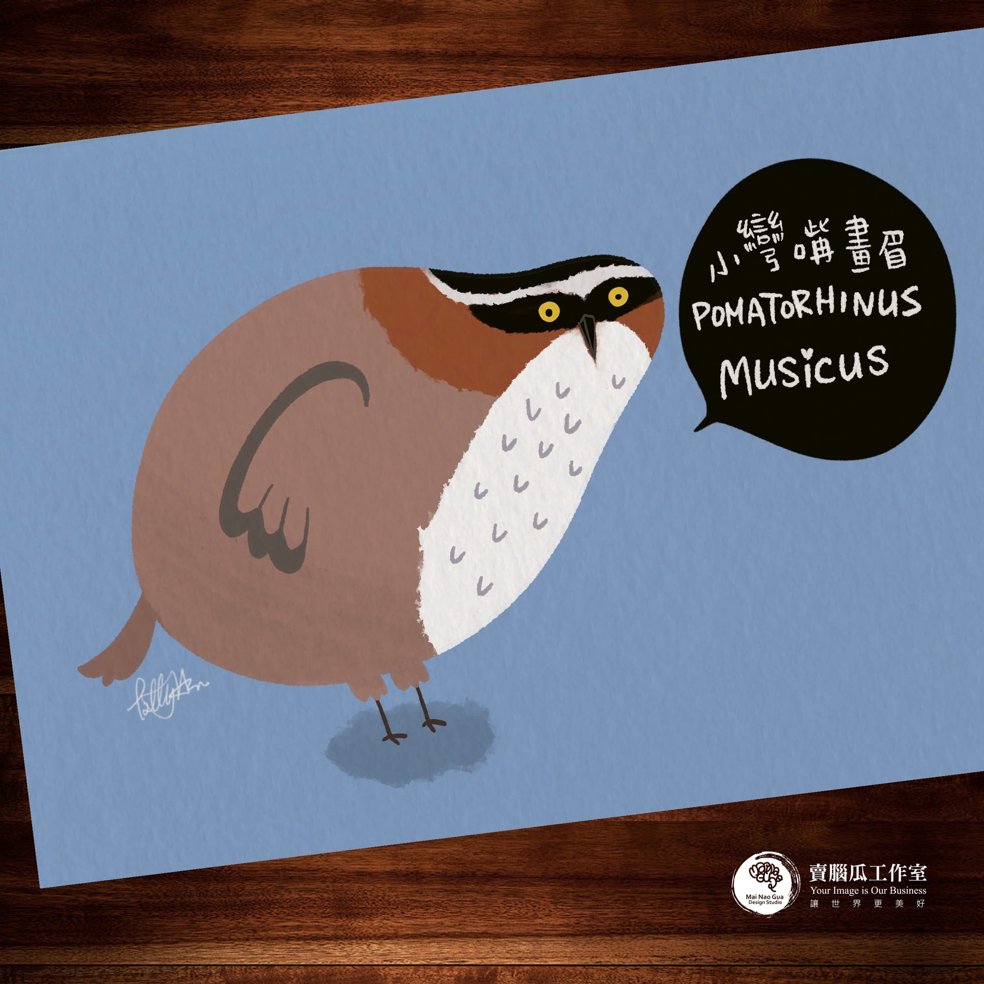 台灣特有種鳥類