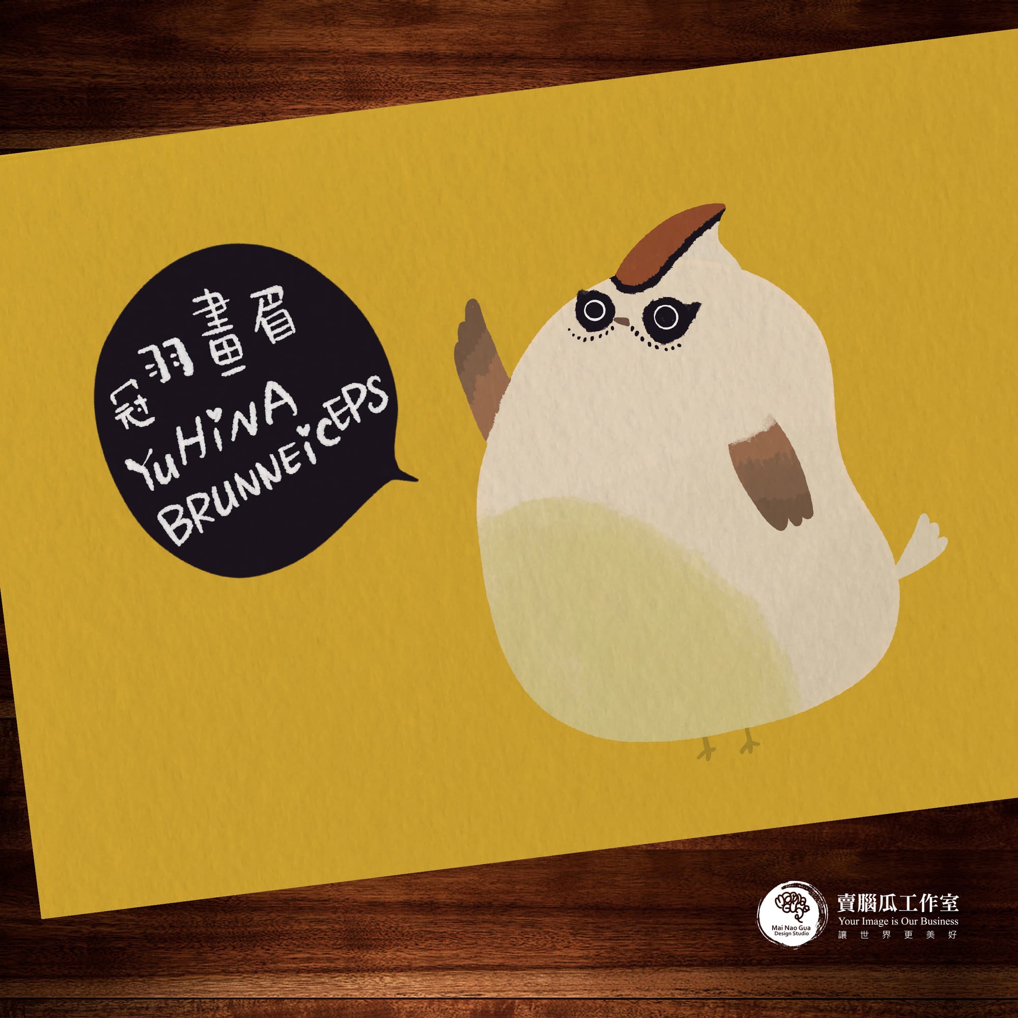 台灣特有種鳥類