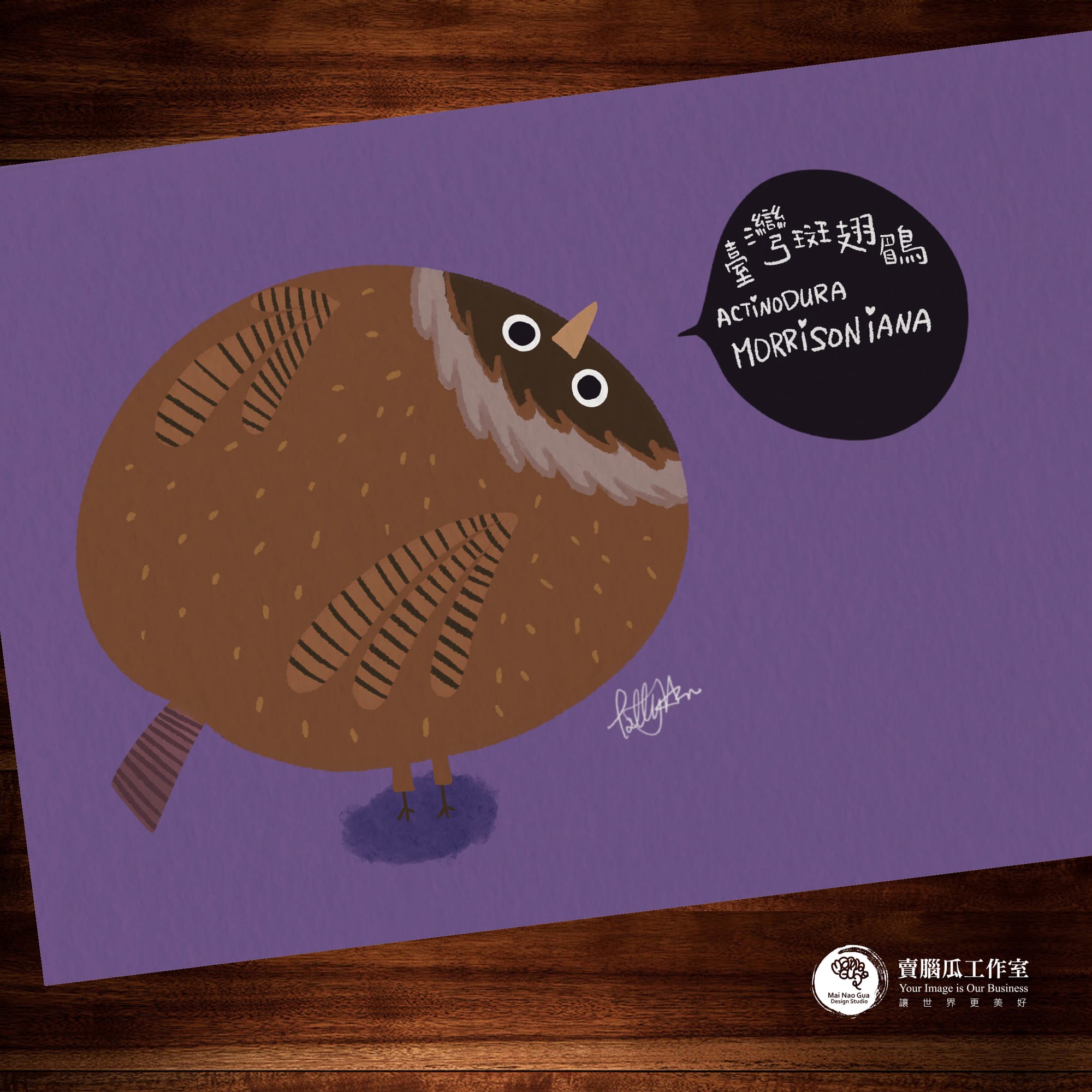 台灣特有種鳥類