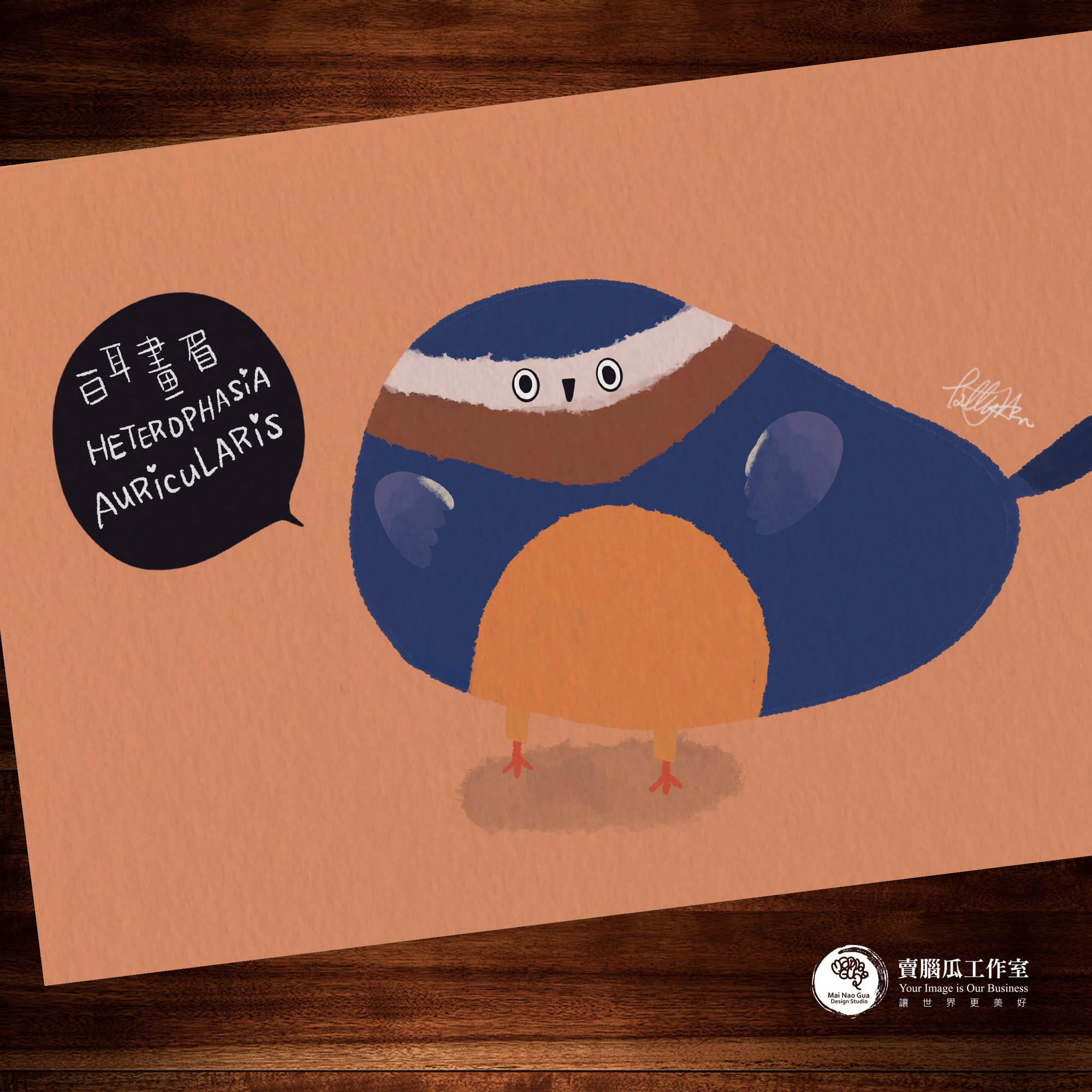 台灣特有種鳥類