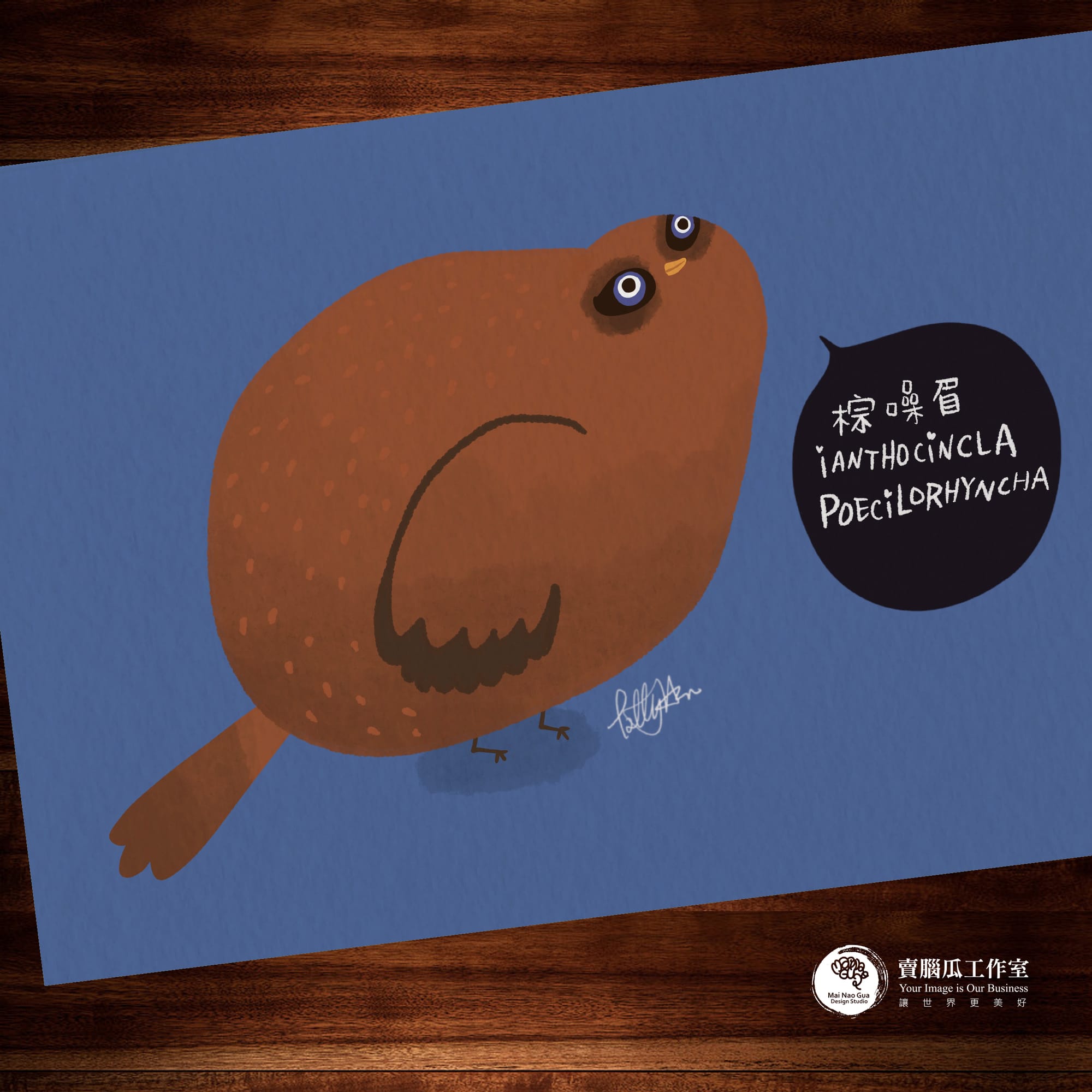 台灣特有種鳥類