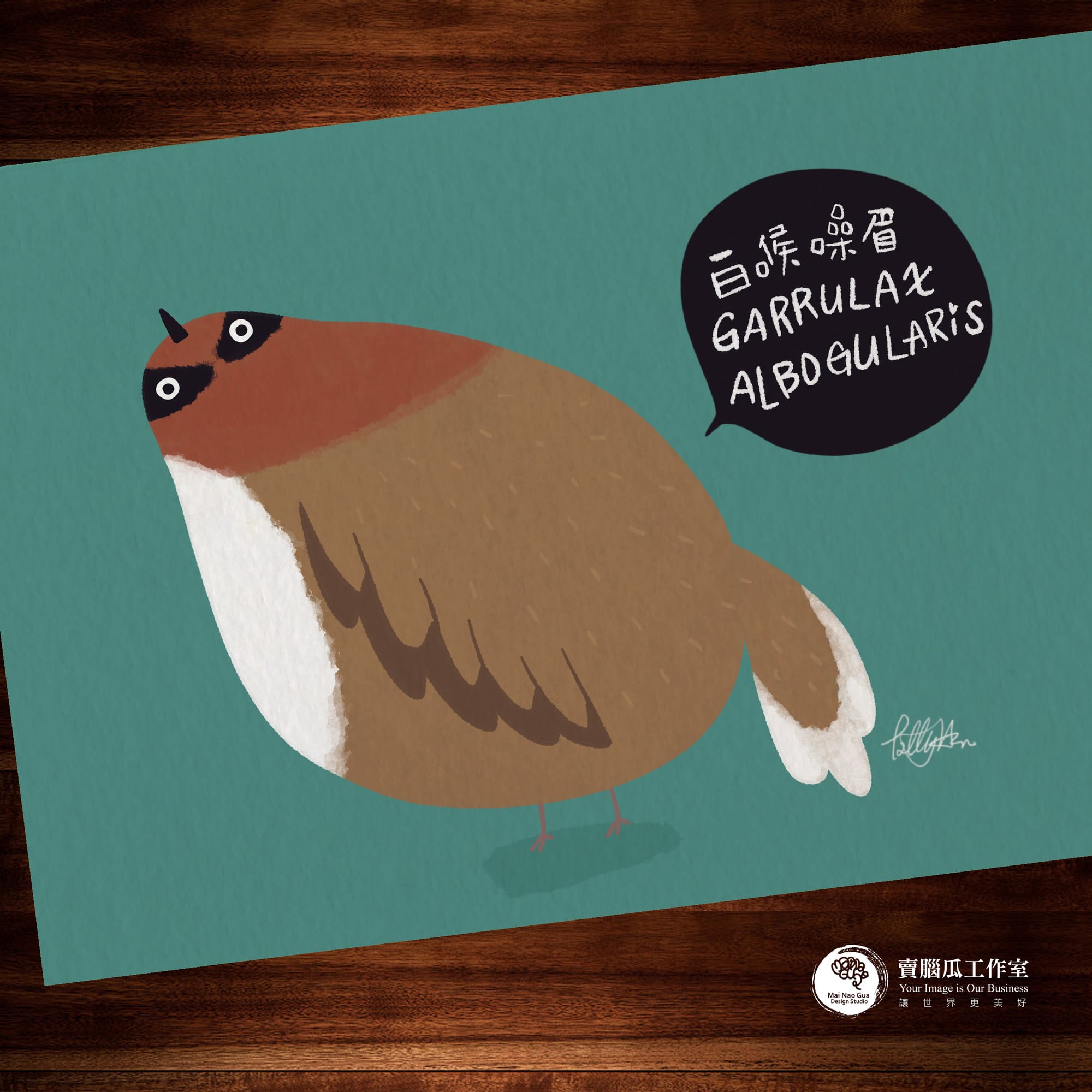 台灣特有種鳥類