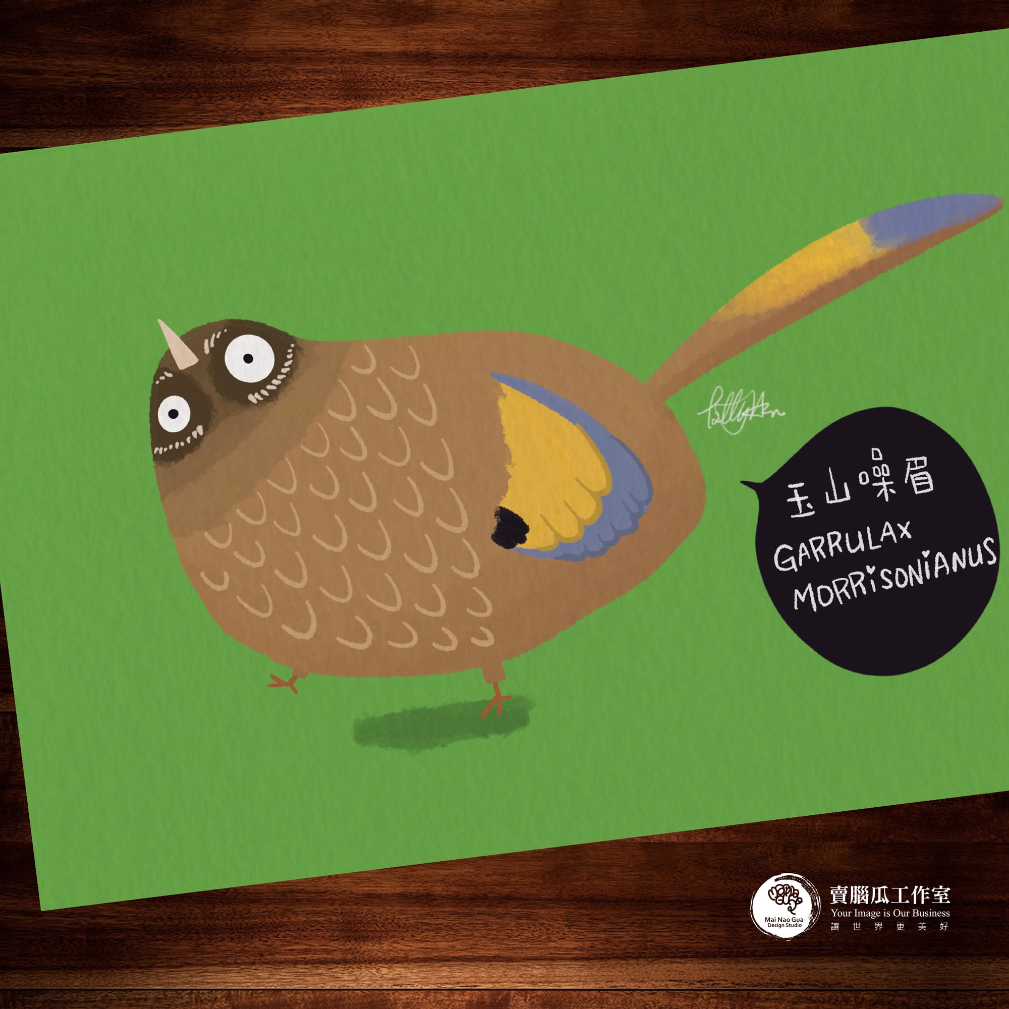 台灣特有種鳥類