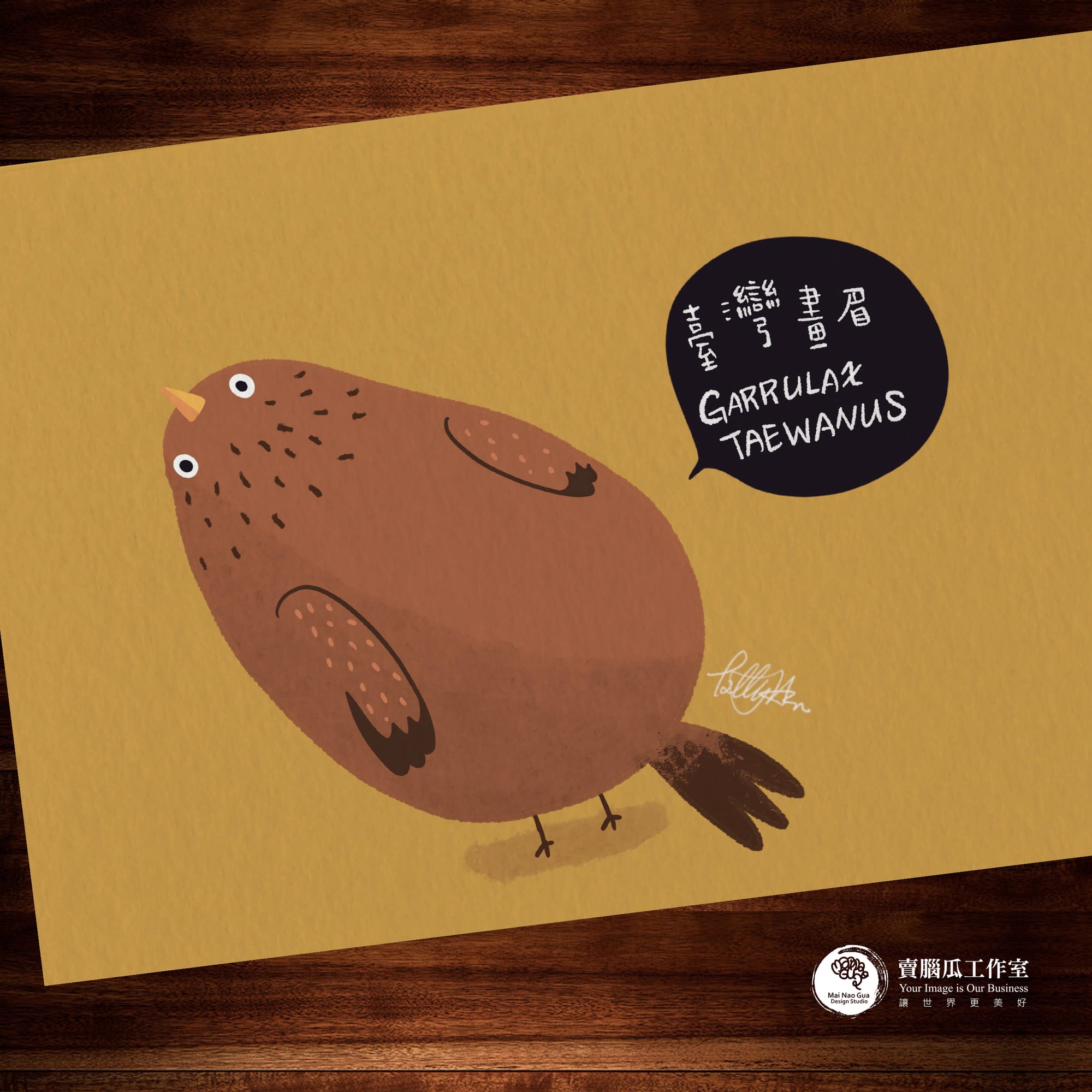 台灣特有種鳥類