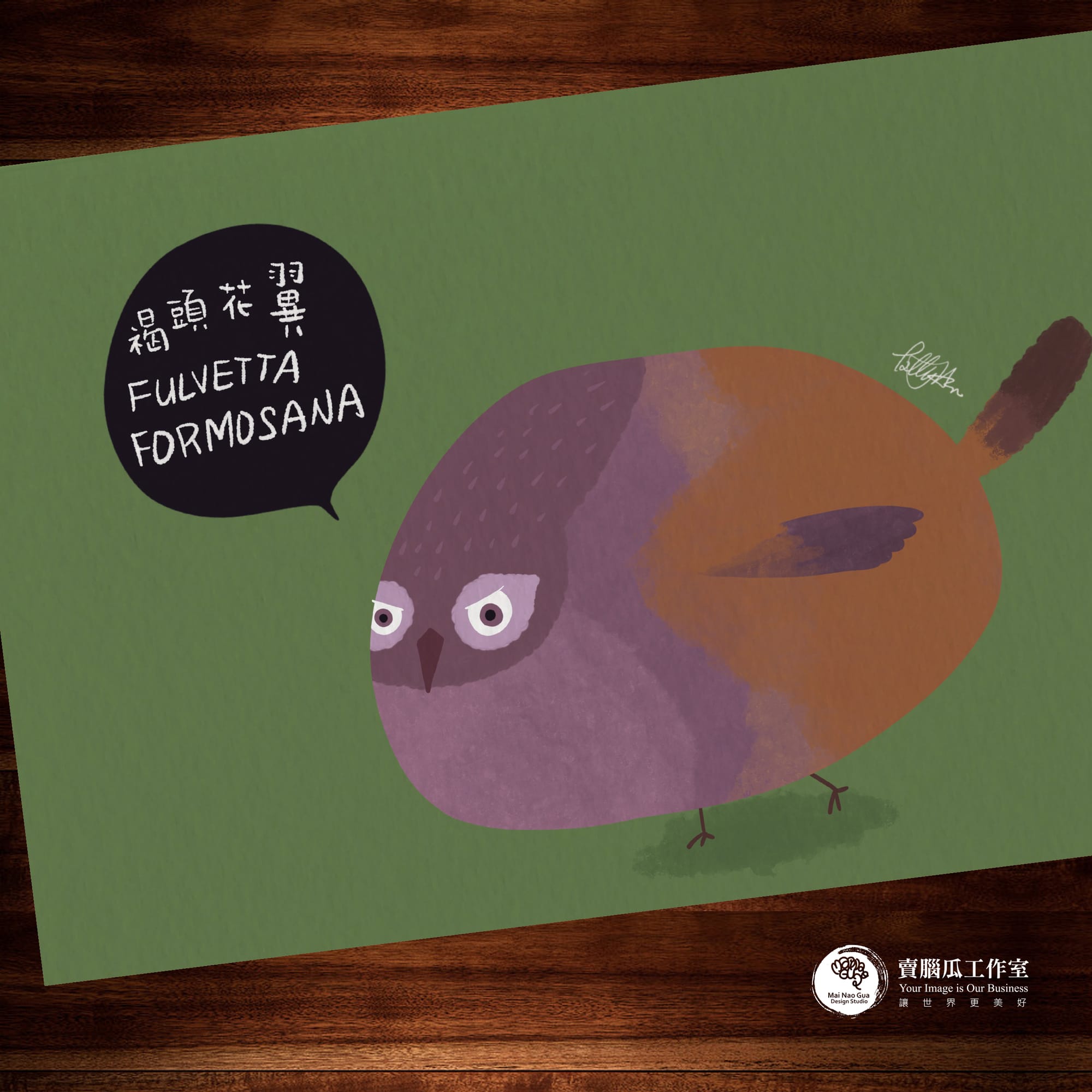 台灣特有種鳥類