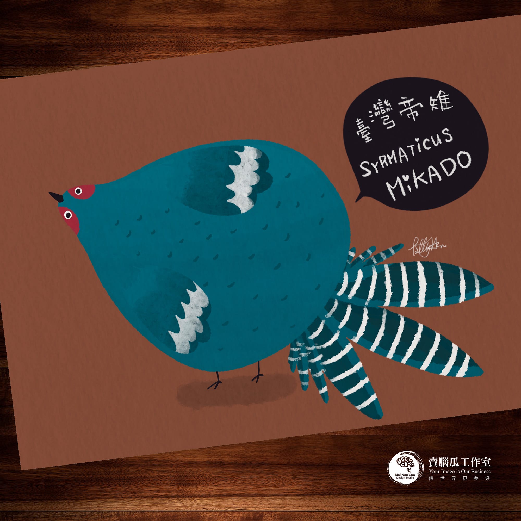 台灣特有種鳥類