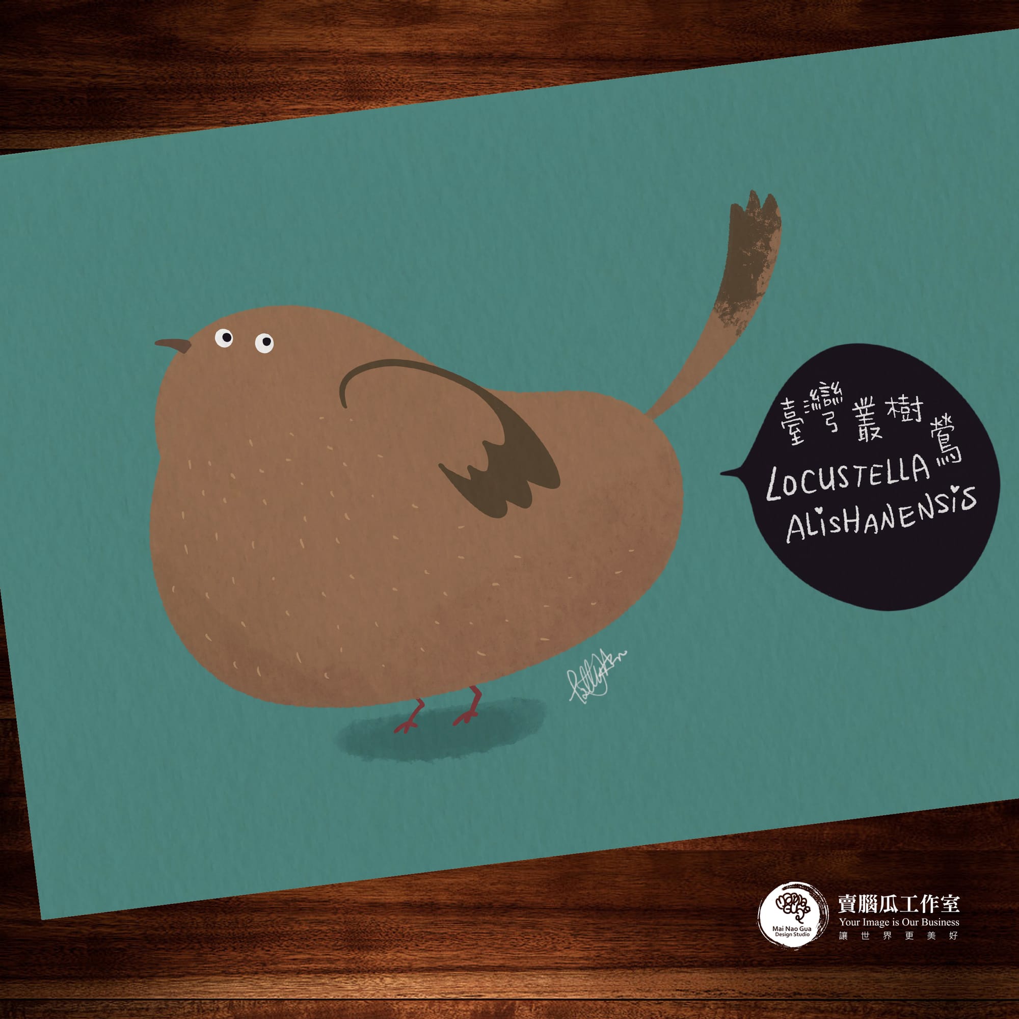 台灣特有種鳥類