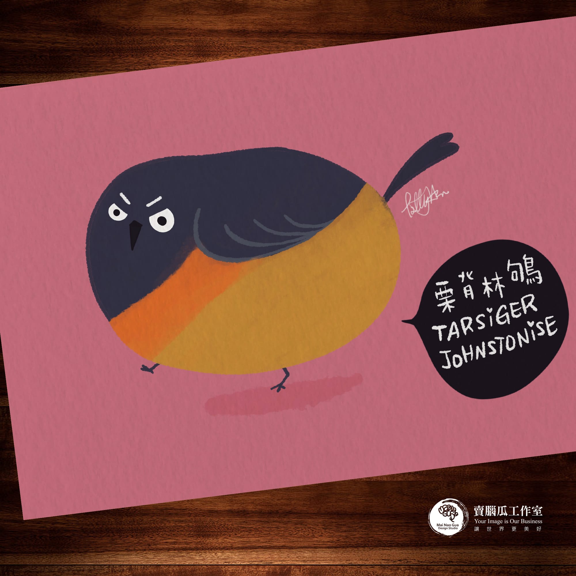 台灣特有種鳥類