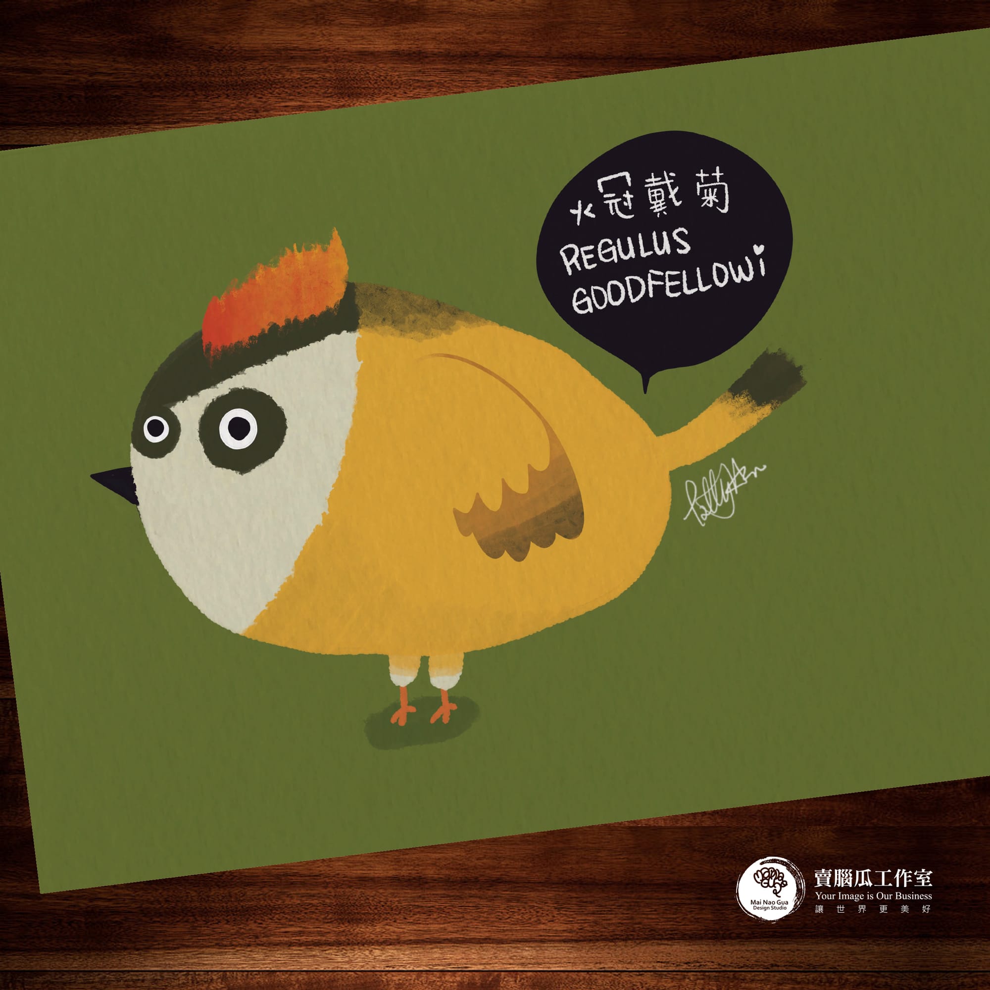 台灣特有種鳥類