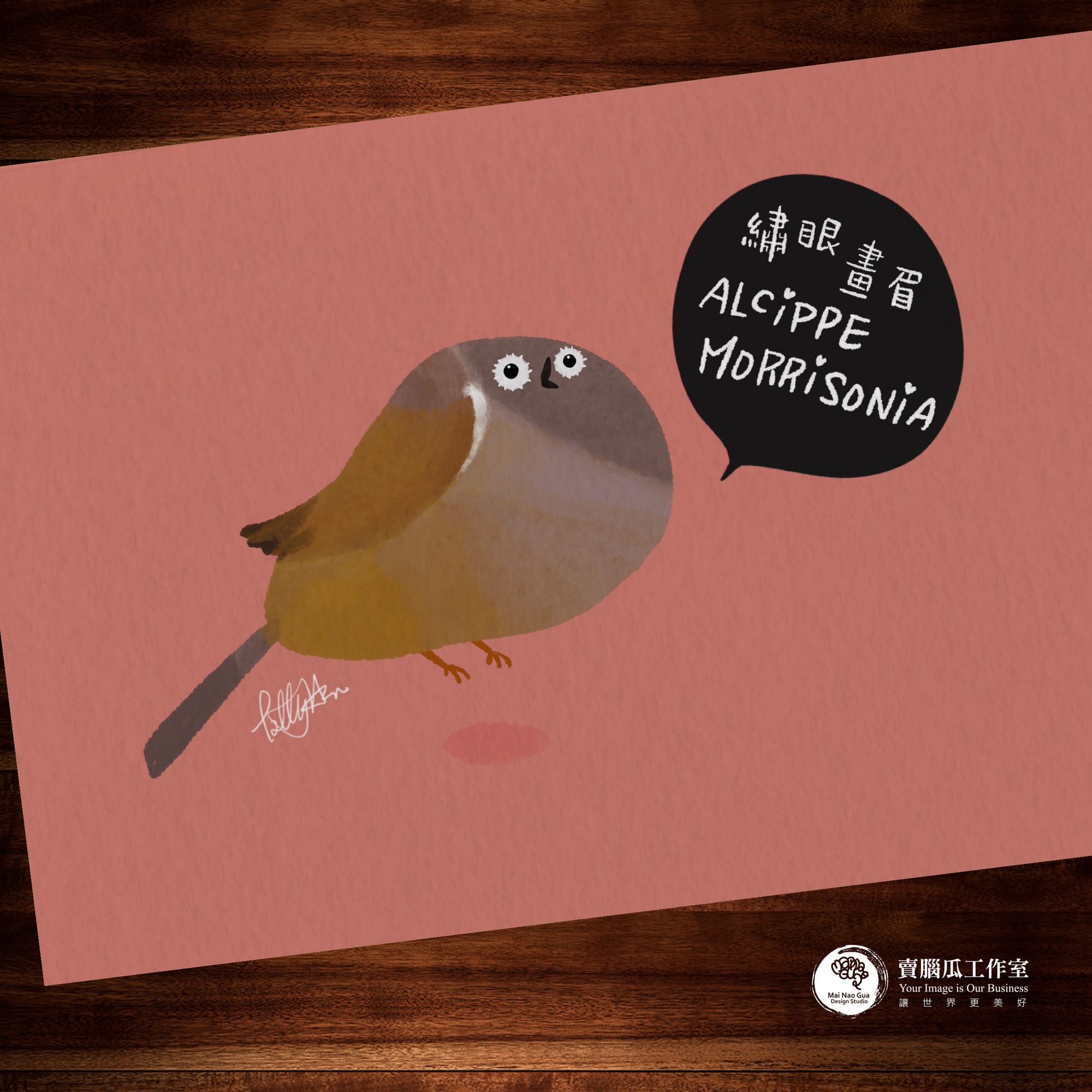 台灣特有種鳥類